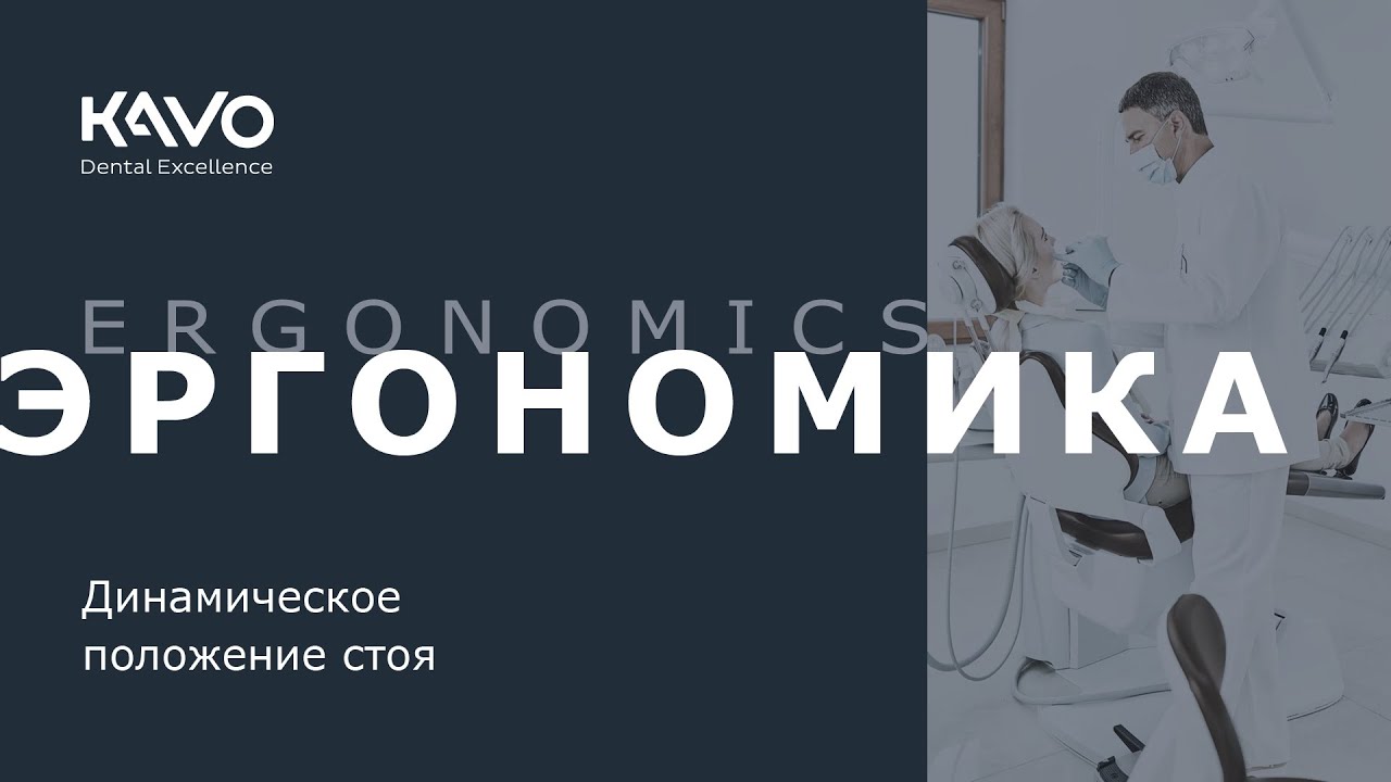 KaVo. Эргономика. Динамическое положение стоя